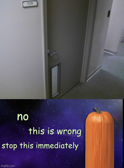 No… this is wrong, stop this immediately. | image tagged in pumpkin facts,memes,you had one job,doors,crappy design,design fails | made w/ Imgflip meme maker