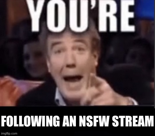 You’re X | FOLLOWING AN NSFW STREAM | image tagged in you re x | made w/ Imgflip meme maker