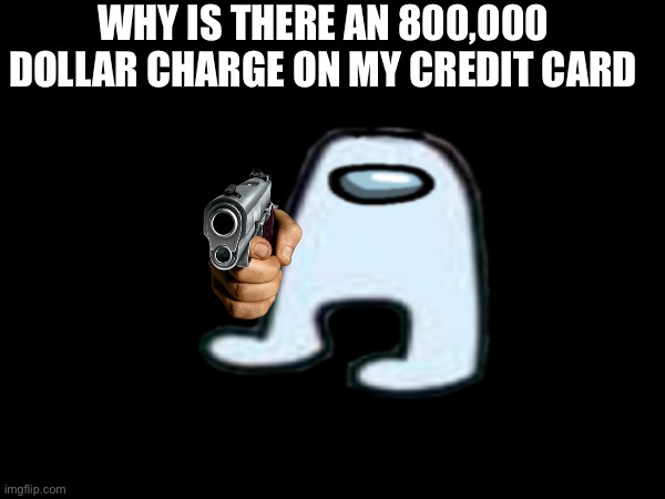 WHY IS THERE AN 800,000 DOLLAR CHARGE ON MY CREDIT CARD | made w/ Imgflip meme maker