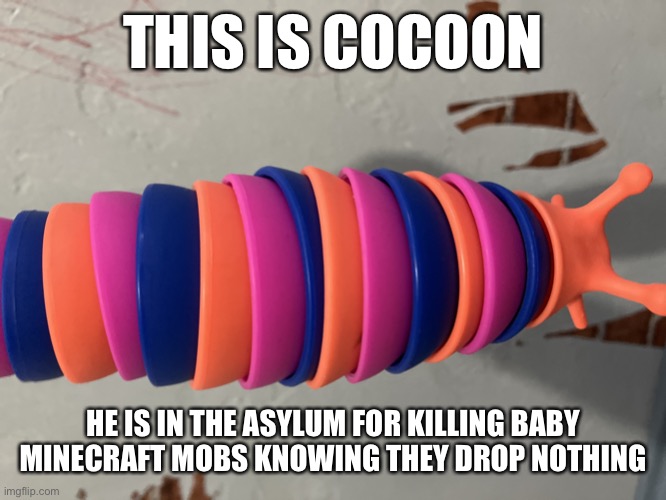 That is a crime against humanity | THIS IS COCOON; HE IS IN THE ASYLUM FOR KILLING BABY MINECRAFT MOBS KNOWING THEY DROP NOTHING | image tagged in cocoon in an asylum | made w/ Imgflip meme maker