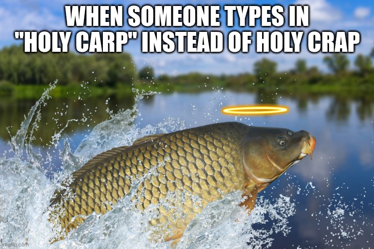 WHEN SOMEONE TYPES IN "HOLY CARP" INSTEAD OF HOLY CRAP | image tagged in fish,crap,holy | made w/ Imgflip meme maker