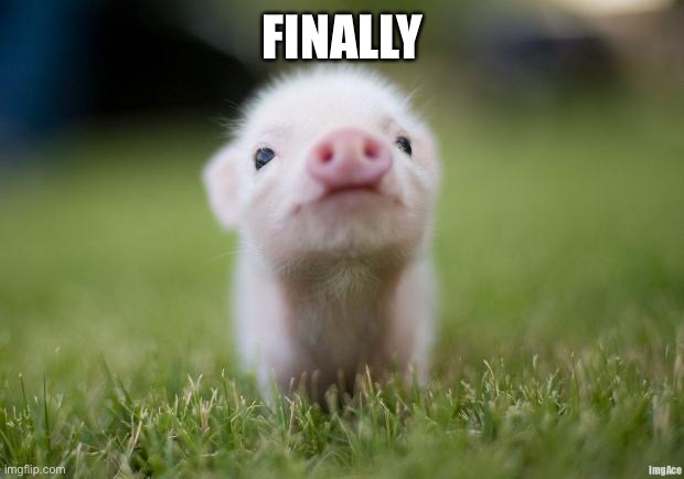 piglet | FINALLY | image tagged in piglet | made w/ Imgflip meme maker