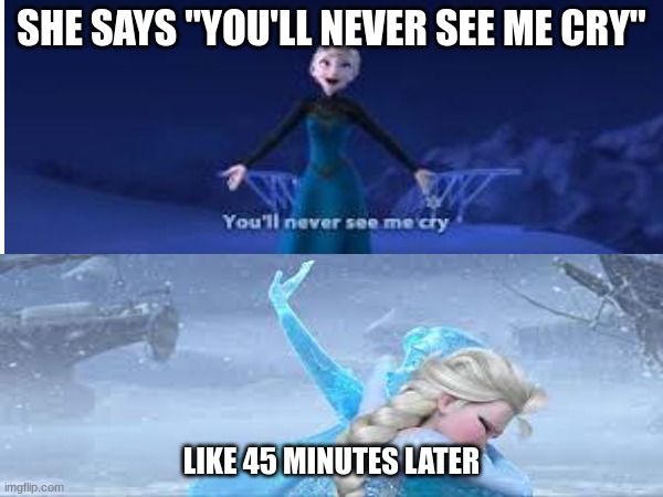 THE TRUTH ABOUT FROZEN | SHE SAYS "YOU'LL NEVER SEE ME CRY"; LIKE 45 MINUTES LATER | image tagged in funny,elsa | made w/ Imgflip meme maker
