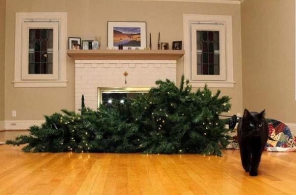 Cat knocked over Christmas Tree Blank Meme Template