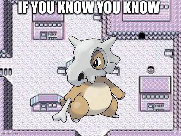 IF YOU KNOW YOU KNOW | image tagged in pokemon | made w/ Imgflip meme maker