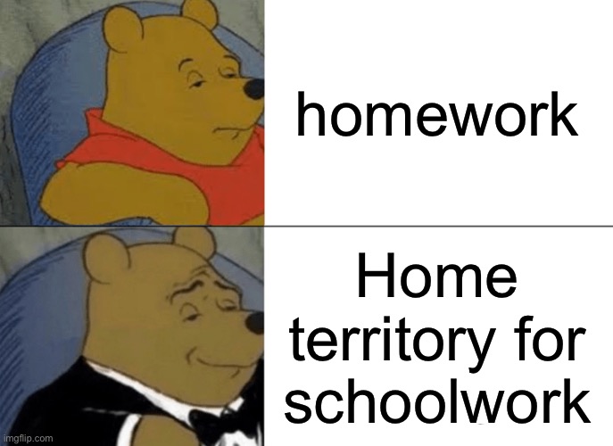 Tuxedo Winnie The Pooh | homework; Home territory for schoolwork | image tagged in memes,tuxedo winnie the pooh | made w/ Imgflip meme maker