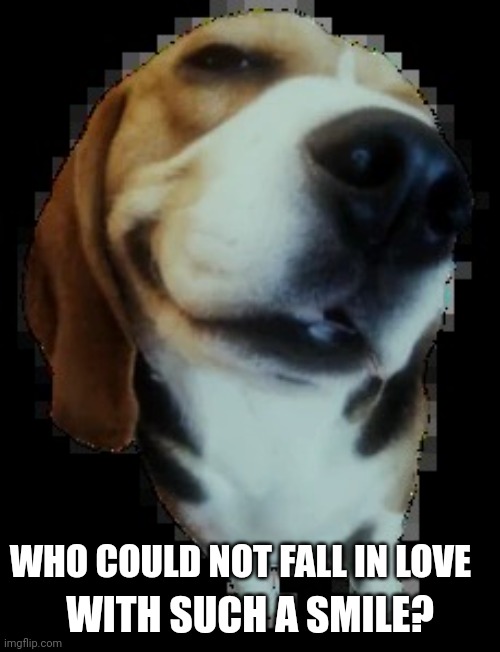 random meme | WHO COULD NOT FALL IN LOVE; WITH SUCH A SMILE? | image tagged in random meme | made w/ Imgflip meme maker