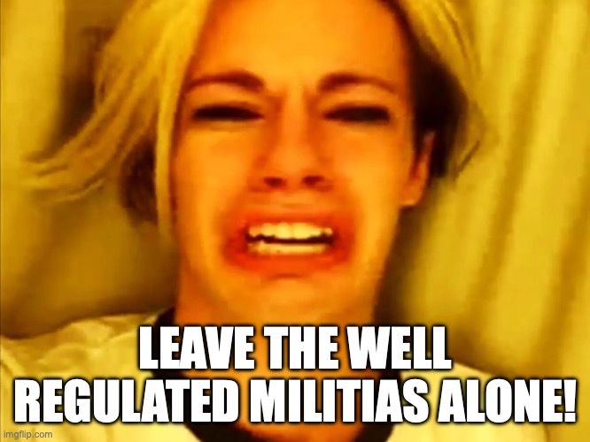 LEAVE THE WELL REGULATED MILITIAS ALONE! | made w/ Imgflip meme maker