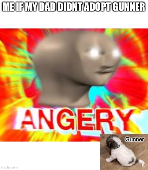 Surreal Angery |  ME IF MY DAD DIDNT ADOPT GUNNER; Gunner | image tagged in surreal angery,doggo,cute puppy | made w/ Imgflip meme maker