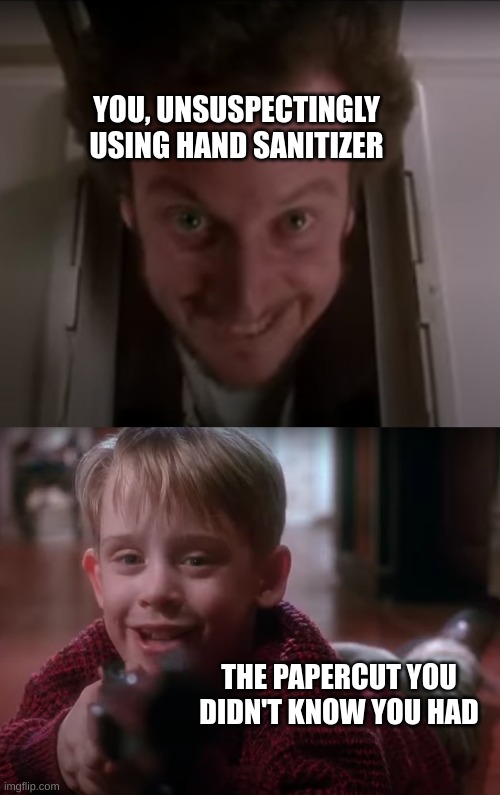 Seriously, though... |  YOU, UNSUSPECTINGLY USING HAND SANITIZER; THE PAPERCUT YOU DIDN'T KNOW YOU HAD | image tagged in hand sanitizer,home alone,hello,memes,relatable,kevin mccallister | made w/ Imgflip meme maker