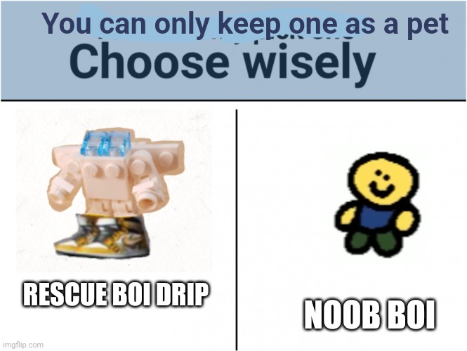 He do got the drip. | You can only keep one as a pet; RESCUE BOI DRIP; NOOB BOI | image tagged in you can pick only one choose wisely | made w/ Imgflip meme maker