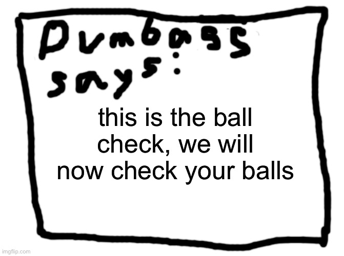 idk | this is the ball check, we will now check your balls | image tagged in idk | made w/ Imgflip meme maker