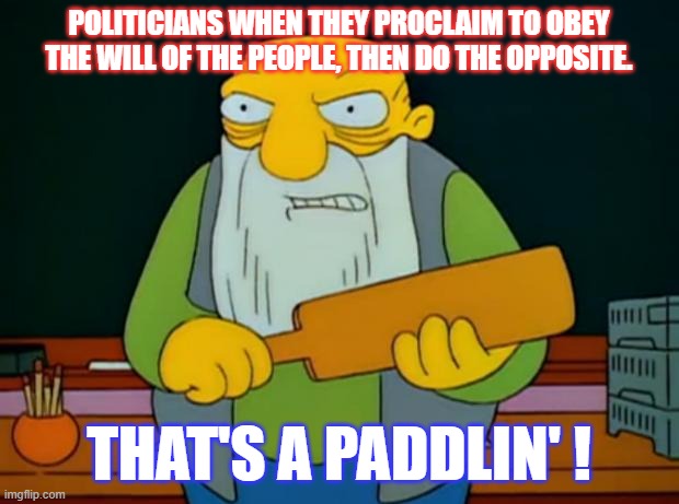 He's talking to you Turtle Boy Mitch. | POLITICIANS WHEN THEY PROCLAIM TO OBEY THE WILL OF THE PEOPLE, THEN DO THE OPPOSITE. THAT'S A PADDLIN' ! | image tagged in thats a paddlin' | made w/ Imgflip meme maker
