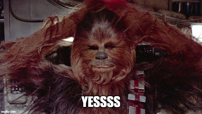 Chewbacca relaxed  | YESSSS | image tagged in chewbacca relaxed | made w/ Imgflip meme maker