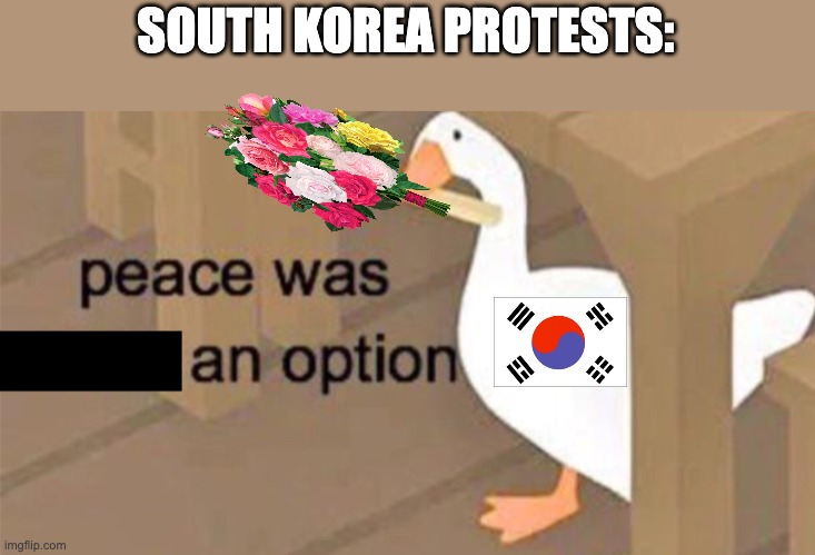 Untitled Goose Peace Was Never an Option | SOUTH KOREA PROTESTS: | image tagged in untitled goose peace was never an option | made w/ Imgflip meme maker