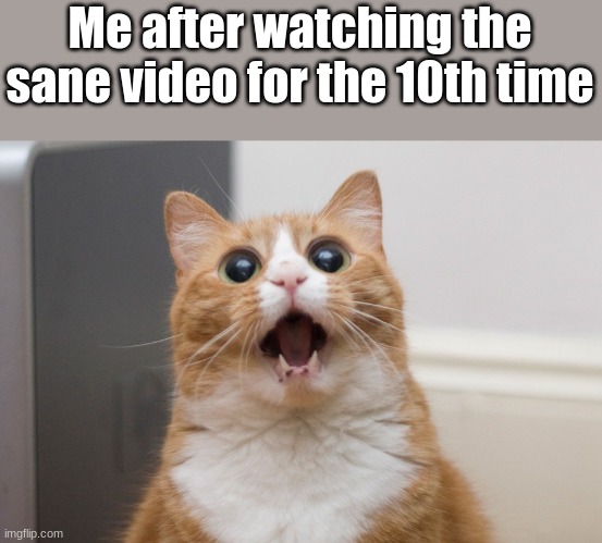 wow | Me after watching the sane video for the 10th time | image tagged in amazed cat,memes | made w/ Imgflip meme maker