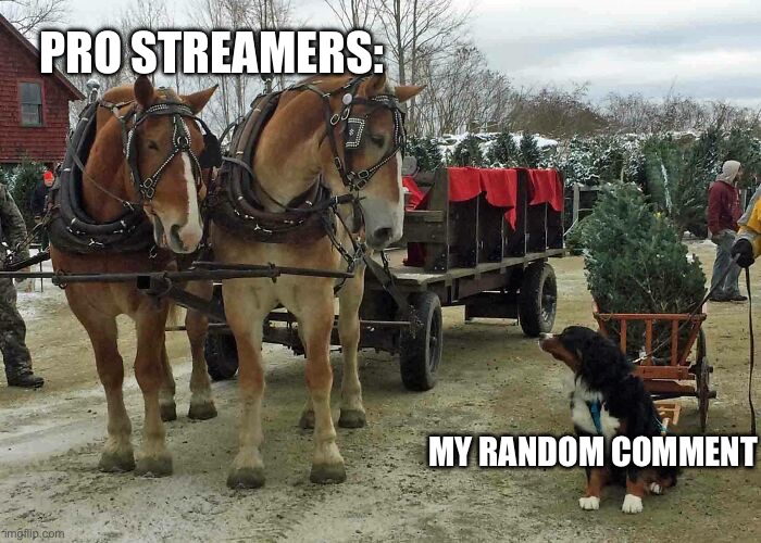 I saw this and thought it would make a good template | PRO STREAMERS:; MY RANDOM COMMENT | image tagged in christmas | made w/ Imgflip meme maker