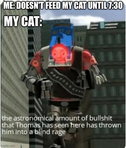 cats be like: | ME: DOESN'T FEED MY CAT UNTIL 7:30; MY CAT: | image tagged in the astronomical amount of bullshit that thomas has seen here | made w/ Imgflip meme maker