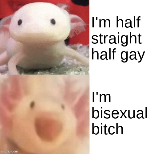 I'm bisexual | I'm half straight half gay; I'm bisexual bitch | image tagged in axolotl | made w/ Imgflip meme maker