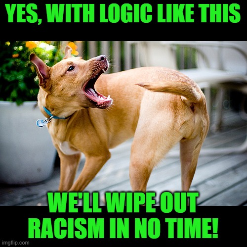 Dog chasing tail | YES, WITH LOGIC LIKE THIS WE'LL WIPE OUT RACISM IN NO TIME! | image tagged in dog chasing tail | made w/ Imgflip meme maker