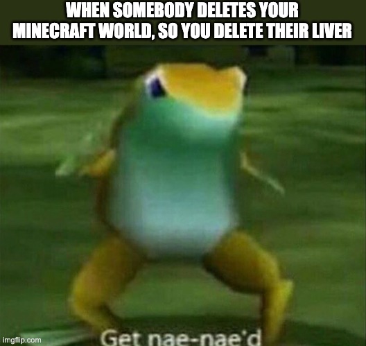 Get nae-nae'd | WHEN SOMEBODY DELETES YOUR MINECRAFT WORLD, SO YOU DELETE THEIR LIVER | image tagged in get nae-nae'd,minecraft,memes,minecraft memes,fun,funny | made w/ Imgflip meme maker