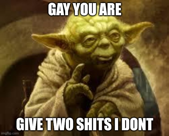yoda | GAY YOU ARE; GIVE TWO SHITS I DONT | image tagged in yoda | made w/ Imgflip meme maker