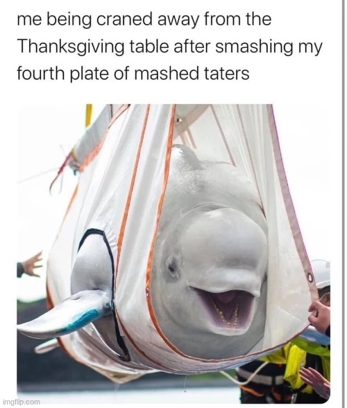 A very very very late thanksgiving meme | made w/ Imgflip meme maker