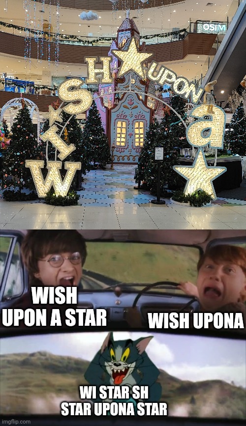 you had one job | WISH UPONA; WISH UPON A STAR; WI STAR SH STAR UPONA STAR | image tagged in tom chasing harry and ron weasly | made w/ Imgflip meme maker