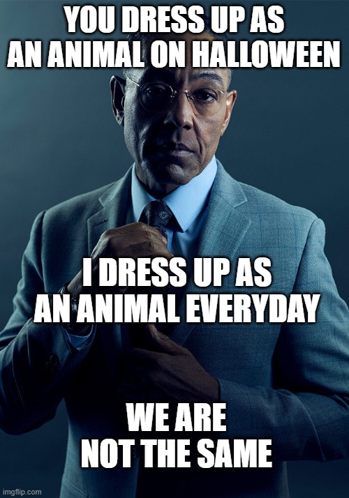 Gus Fring we are not the same | YOU DRESS UP AS AN ANIMAL ON HALLOWEEN; I DRESS UP AS AN ANIMAL EVERYDAY; WE ARE NOT THE SAME | image tagged in gus fring we are not the same | made w/ Imgflip meme maker