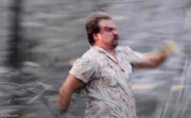 Hopper Run | image tagged in hopper run | made w/ Imgflip meme maker