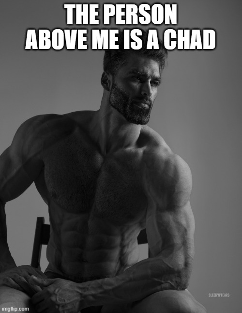 *mirror* | THE PERSON ABOVE ME IS A CHAD | image tagged in giga chad | made w/ Imgflip meme maker