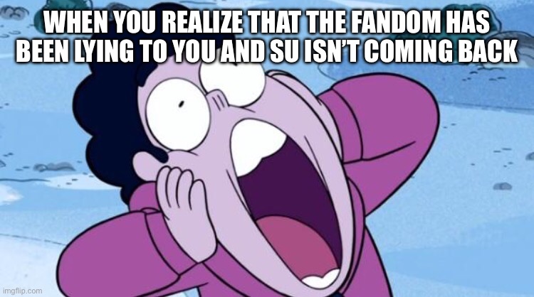 Steven Universe NOOO | WHEN YOU REALIZE THAT THE FANDOM HAS BEEN LYING TO YOU AND SU ISN’T COMING BACK | image tagged in steven universe nooo | made w/ Imgflip meme maker