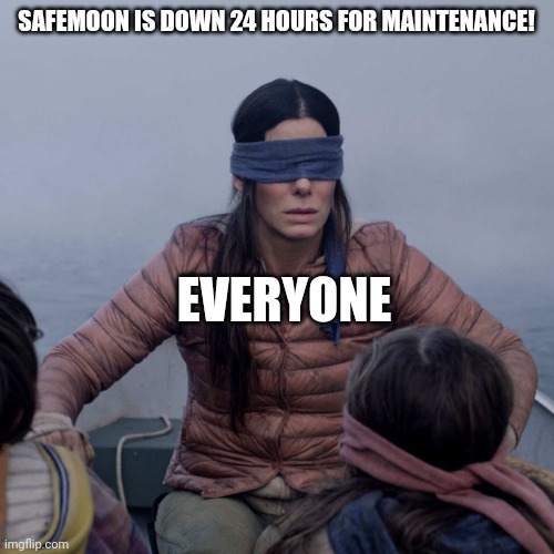 Bird Box Meme | SAFEMOON IS DOWN 24 HOURS FOR MAINTENANCE! EVERYONE | image tagged in memes,bird box | made w/ Imgflip meme maker