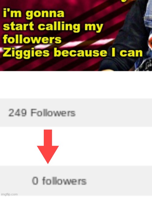 after I started calling my followers "Ziggies" | made w/ Imgflip meme maker