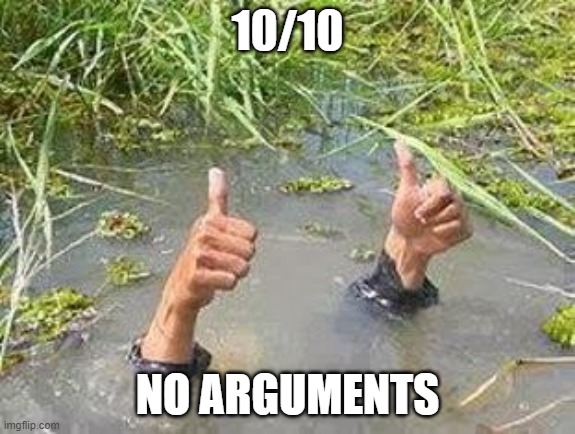 FLOODING THUMBS UP | 10/10 NO ARGUMENTS | image tagged in flooding thumbs up | made w/ Imgflip meme maker