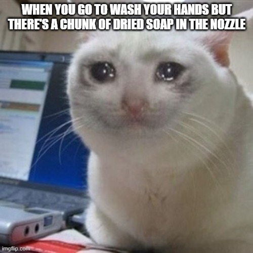 im crying rn | WHEN YOU GO TO WASH YOUR HANDS BUT THERE'S A CHUNK OF DRIED SOAP IN THE NOZZLE | image tagged in crying cat | made w/ Imgflip meme maker