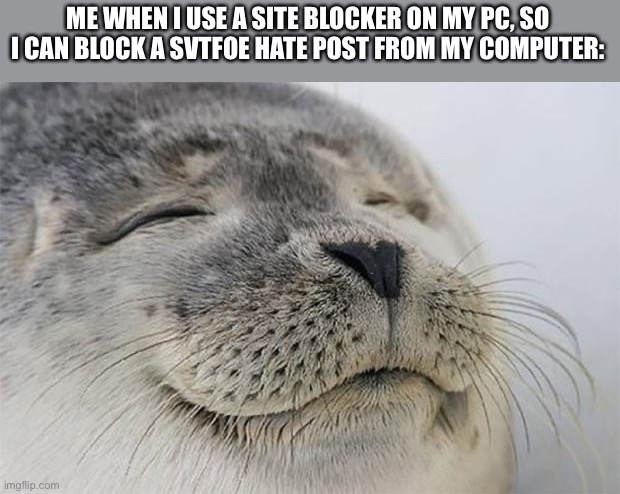 Finally, Inner Peace. | ME WHEN I USE A SITE BLOCKER ON MY PC, SO I CAN BLOCK A SVTFOE HATE POST FROM MY COMPUTER: | image tagged in memes,satisfied seal,svtfoe,star vs the forces of evil,website,meme | made w/ Imgflip meme maker