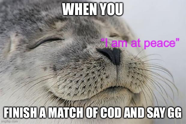 This is Samuel, be like Samuel :) | WHEN YOU; “I am at peace”; FINISH A MATCH OF COD AND SAY GG | image tagged in memes,satisfied seal | made w/ Imgflip meme maker