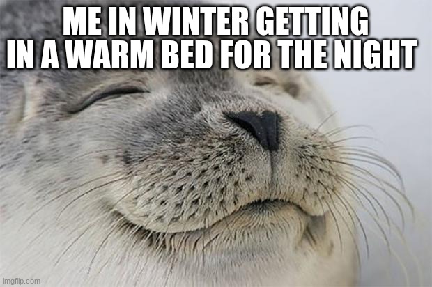 winter is fcken cold | IN A WARM BED FOR THE NIGHT; ME IN WINTER GETTING | image tagged in memes,satisfied seal | made w/ Imgflip meme maker