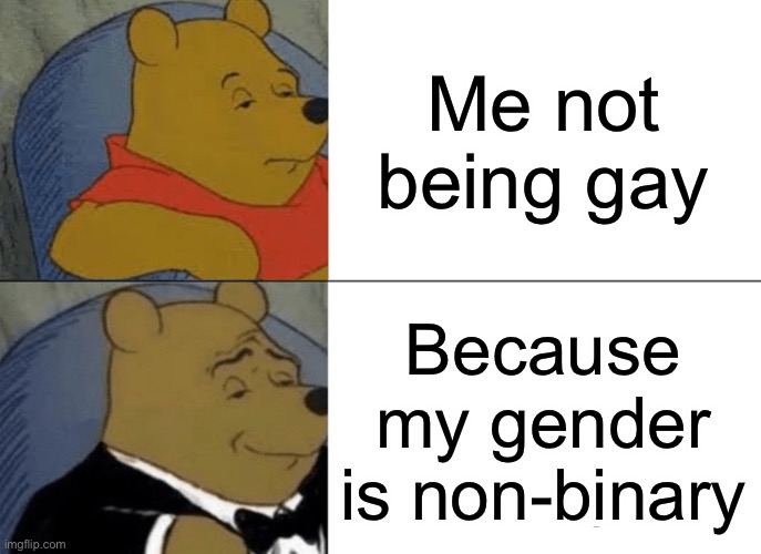 7 year old brain | Me not being gay; Because my gender is non-binary | image tagged in memes,tuxedo winnie the pooh,funny,lol,gay | made w/ Imgflip meme maker