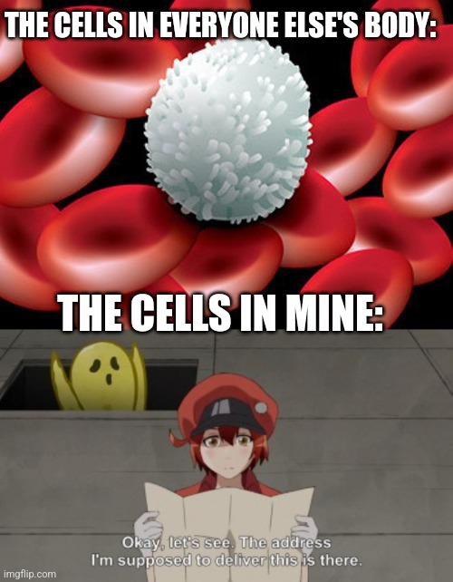 When Your Body Doesn't Have It Together | THE CELLS IN EVERYONE ELSE'S BODY:; THE CELLS IN MINE: | image tagged in white blood cells,something is behind red blood cell,the human body,i hate myself | made w/ Imgflip meme maker