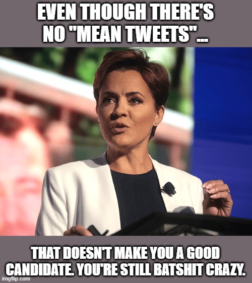 kari lake | EVEN THOUGH THERE'S NO "MEAN TWEETS"... THAT DOESN'T MAKE YOU A GOOD CANDIDATE. YOU'RE STILL BATSHIT CRAZY. | image tagged in kari lake | made w/ Imgflip meme maker
