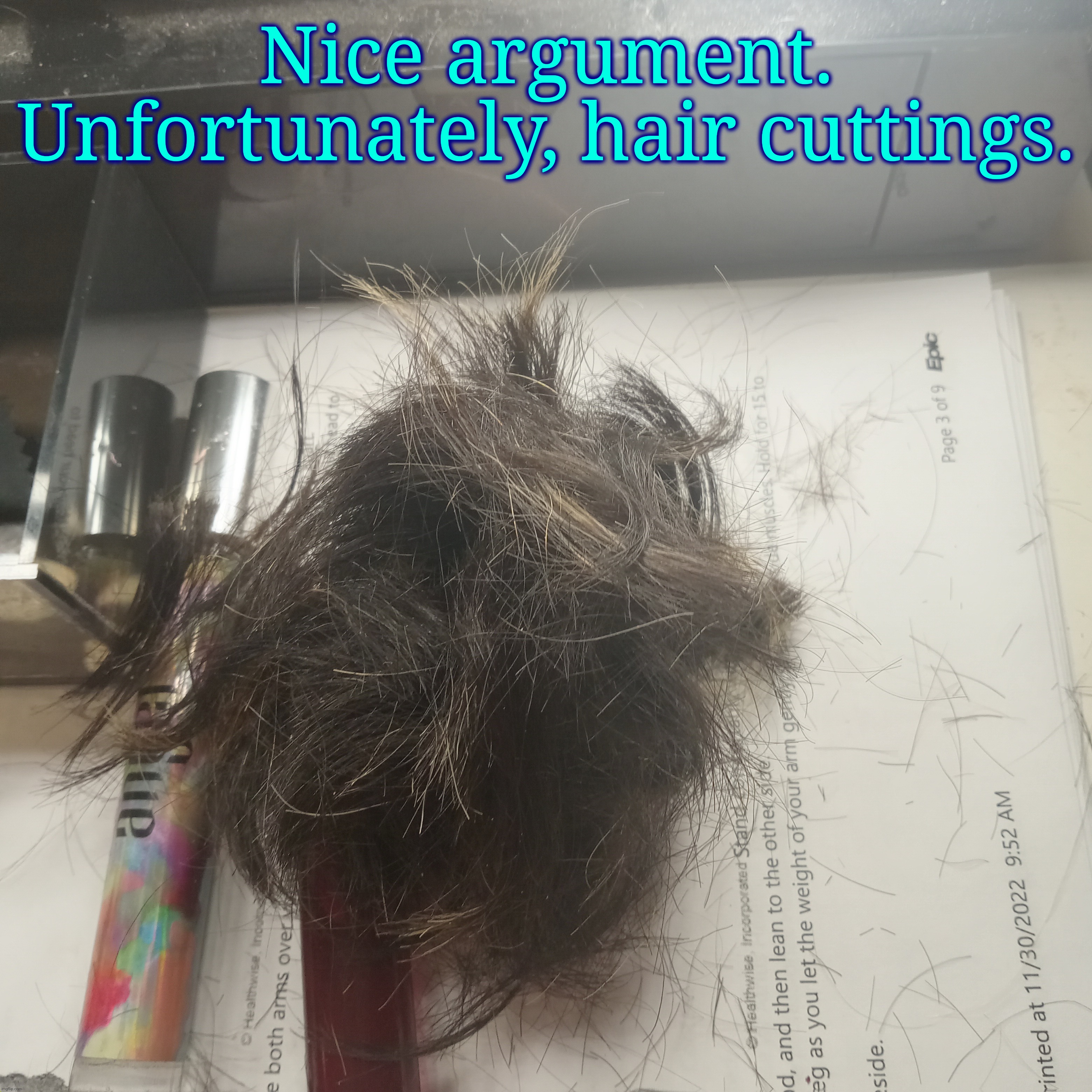 Nice argument. Unfortunately, hair cuttings. | made w/ Imgflip meme maker