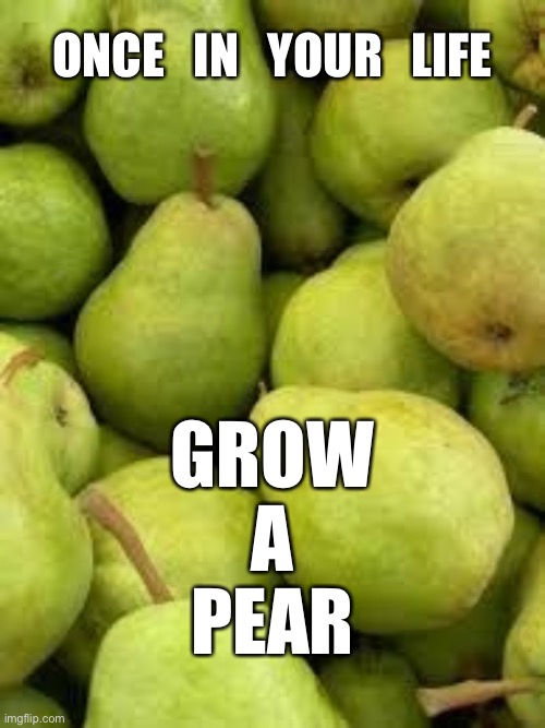PEARS IS THE FRUIT | ONCE   IN   YOUR   LIFE; GROW
A
PEAR | image tagged in pears is the fruit | made w/ Imgflip meme maker