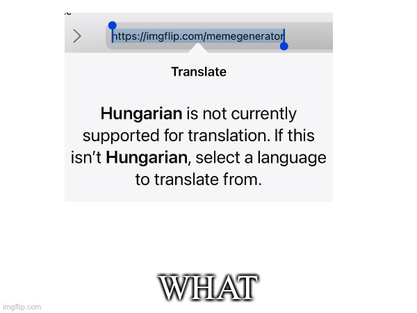 WHAT | made w/ Imgflip meme maker