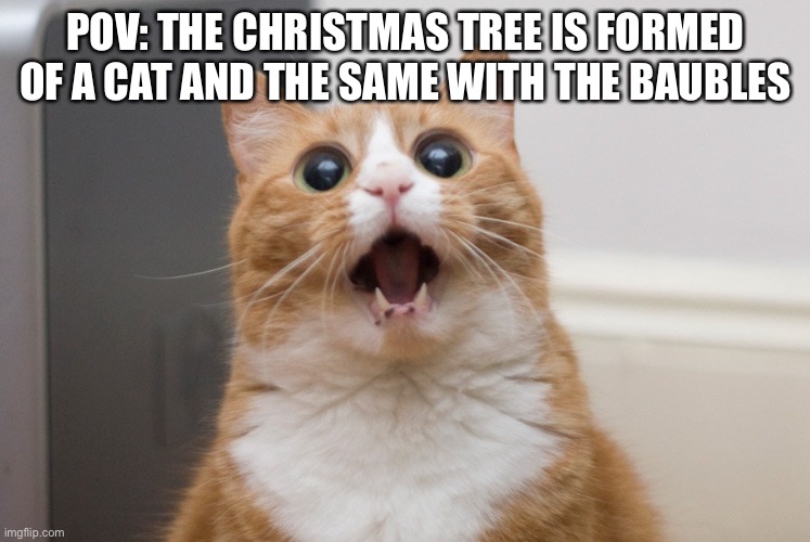 CAT SHOCKED | POV: THE CHRISTMAS TREE IS FORMED OF A CAT AND THE SAME WITH THE BAUBLES | image tagged in amazed cat | made w/ Imgflip meme maker