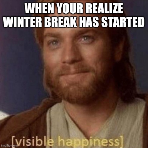 When your realize winter break has started | WHEN YOUR REALIZE WINTER BREAK HAS STARTED | image tagged in visible happiness | made w/ Imgflip meme maker