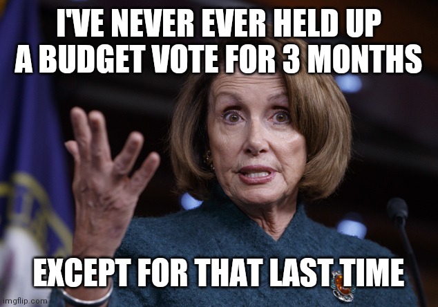 Good old Nancy Pelosi | I'VE NEVER EVER HELD UP A BUDGET VOTE FOR 3 MONTHS EXCEPT FOR THAT LAST TIME | image tagged in good old nancy pelosi | made w/ Imgflip meme maker