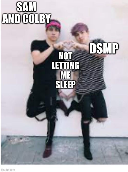 colby and jake | SAM AND COLBY; DSMP; NOT LETTING ME SLEEP | image tagged in colby and jake | made w/ Imgflip meme maker