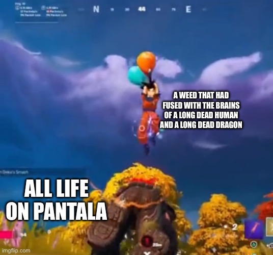 What the  ̶O̶h̶i̶o̶ Pantala doin’? (Yep, that’s Goku with a hammer) | A WEED THAT HAD FUSED WITH THE BRAINS OF A LONG DEAD HUMAN AND A LONG DEAD DRAGON; ALL LIFE ON PANTALA | made w/ Imgflip meme maker
